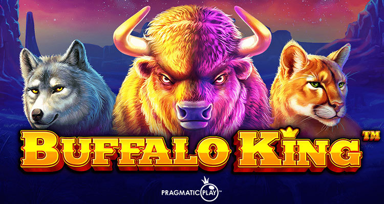 Buffalo King 1